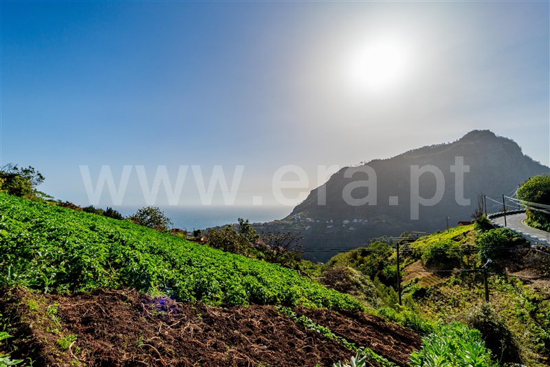 Terreno Rústico  com Vista Mar Santana, Faial - 1387293 - 9
