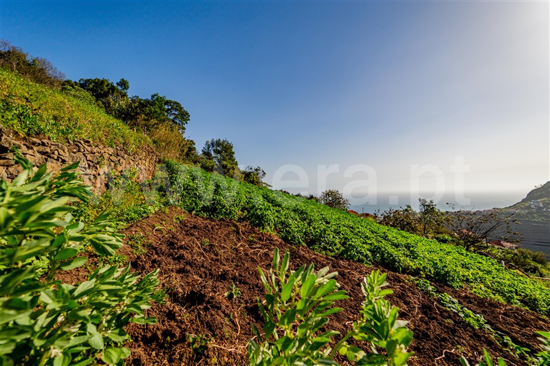 Terreno Rústico  com Vista Mar Santana, Faial - 1387293 - 10