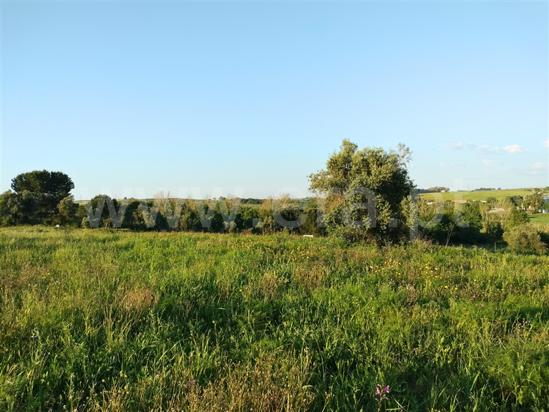 Terreno Rústico  Santarém, Alcanhões - 1476804 - 3