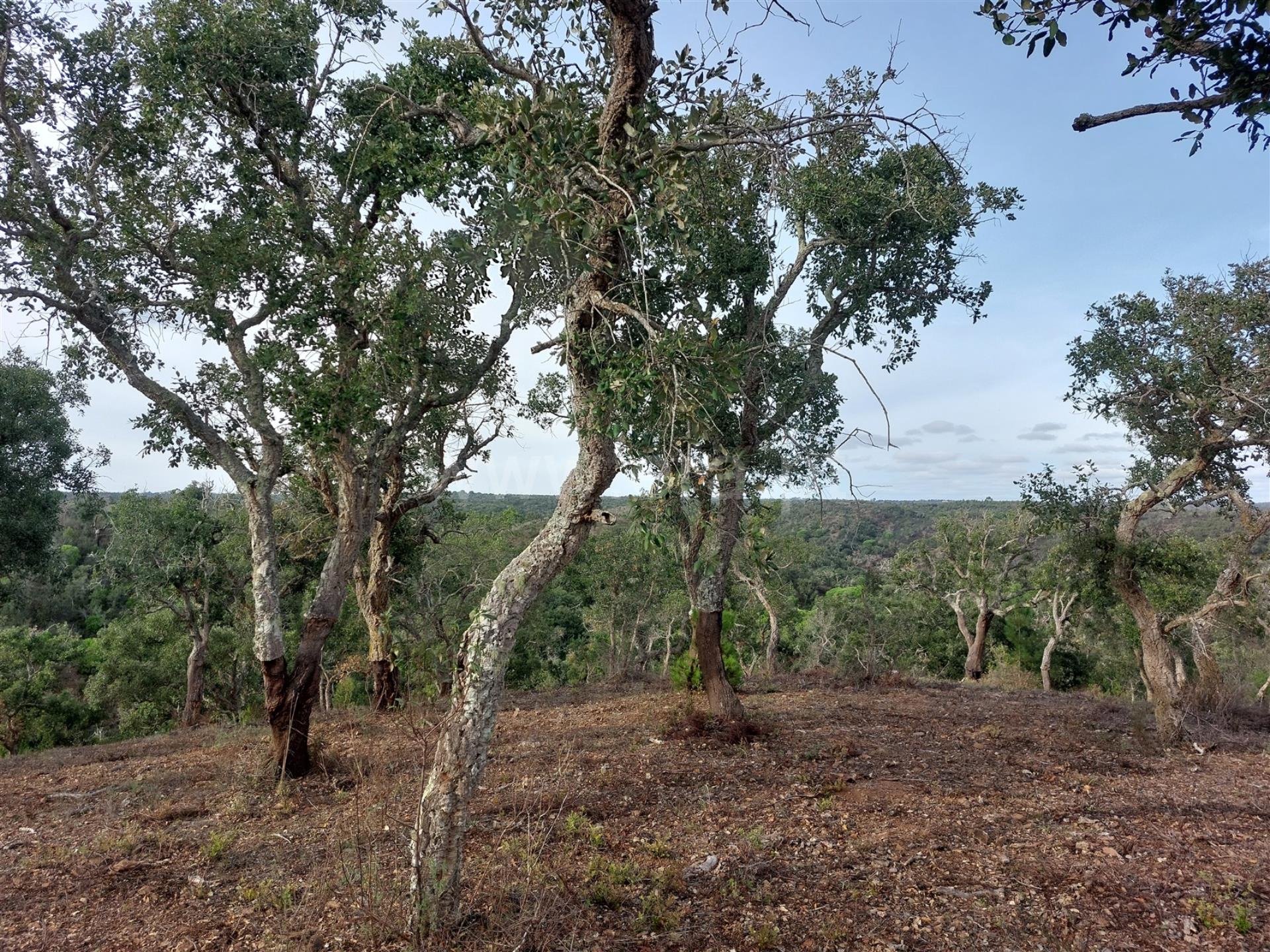 Land for sale in Santiago do Cacém, Portugal — €650,000