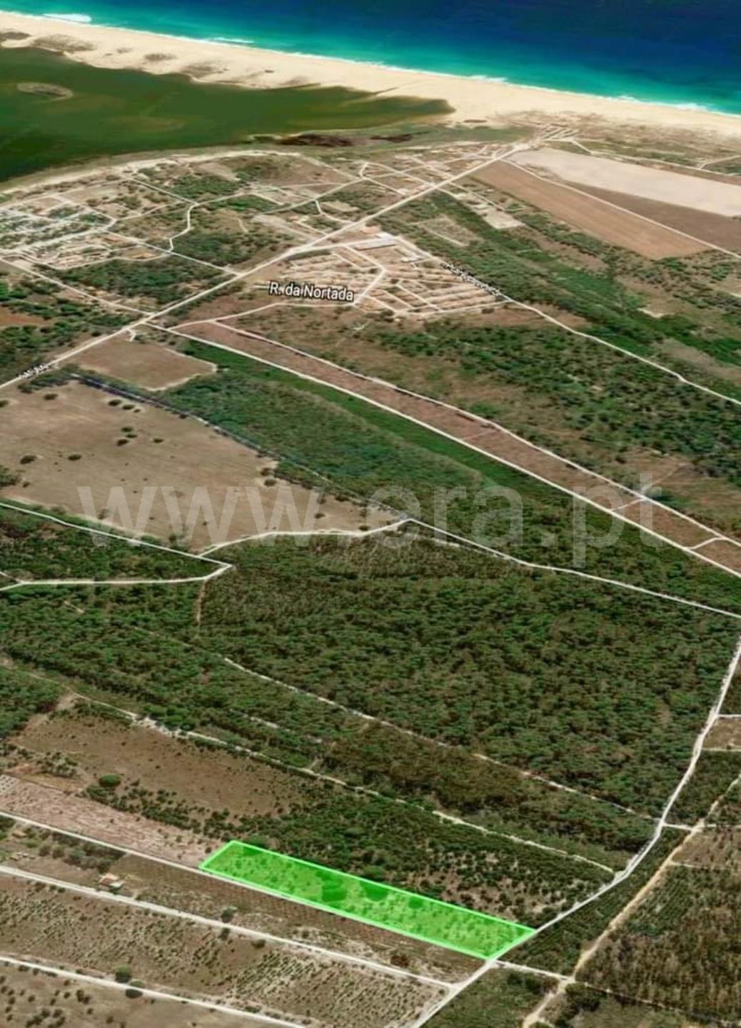 Land for sale in Santiago do Cacém, Portugal — €625,000