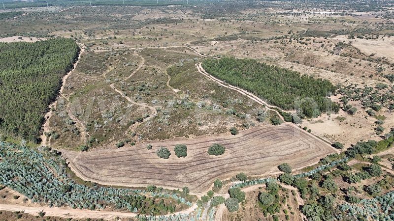 Terreno Rústico  Santiago do Cacém, São Domingos e Vale de Água - 1498693 - 5