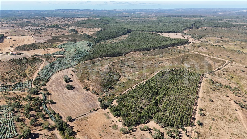 Terreno Rústico  Santiago do Cacém, São Domingos e Vale de Água - 1498693 - 7