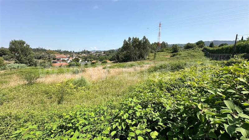 Terreno Rústico / Santo Tirso, Areias, Sequeiró, Lama e Palmeira
