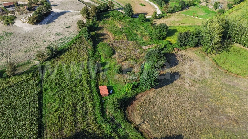 Terreno Rústico / Santo Tirso, Campo (São Martinho), São Salvador do Campo e Negrelos (São Mamede)