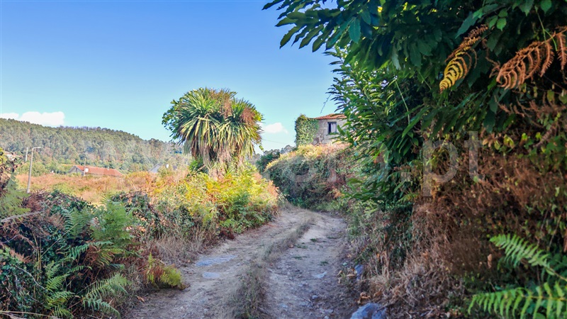 Terreno Rústico  Santo Tirso, Campo (São Martinho), São Salvador do Campo e Negrelos (São Mamede) - 1501932 - 4
