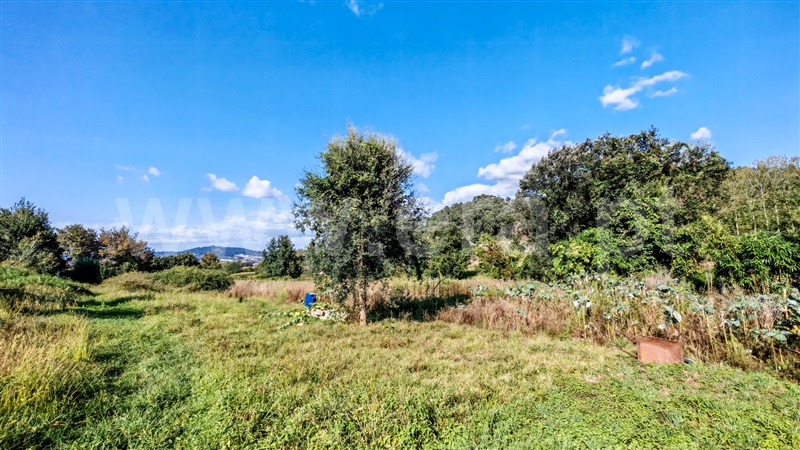 Terreno Rústico  Santo Tirso, Campo (São Martinho), São Salvador do Campo e Negrelos (São Mamede) - 1501932 - 13