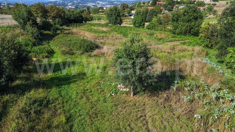 Terreno Rústico  Santo Tirso, Campo (São Martinho), São Salvador do Campo e Negrelos (São Mamede) - 1501932 - 14