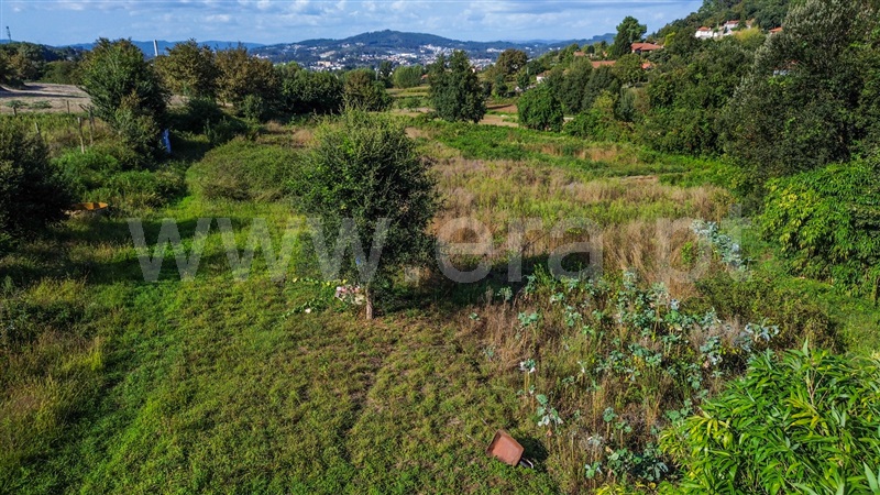 Terreno Rústico  Santo Tirso, Campo (São Martinho), São Salvador do Campo e Negrelos (São Mamede) - 1501932 - 17