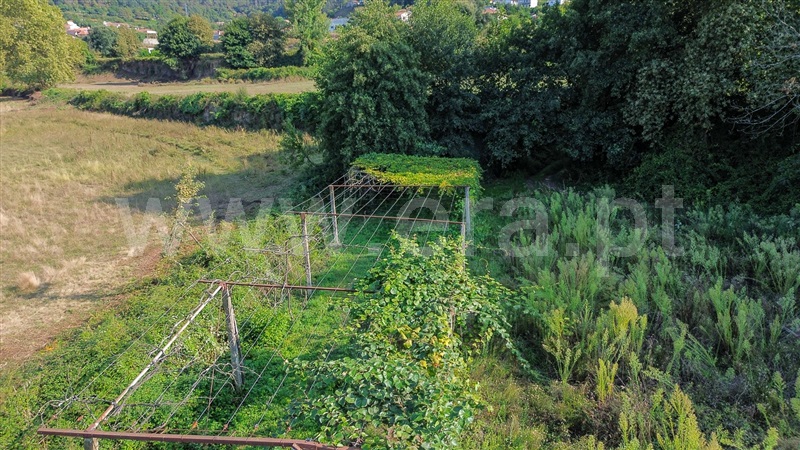 Terreno Rústico  Santo Tirso, Campo (São Martinho), São Salvador do Campo e Negrelos (São Mamede) - 1501932 - 20