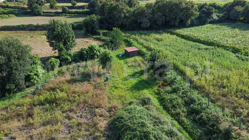 Terreno Rústico  Santo Tirso, Campo (São Martinho), São Salvador do Campo e Negrelos (São Mamede) - 1501932 - 21