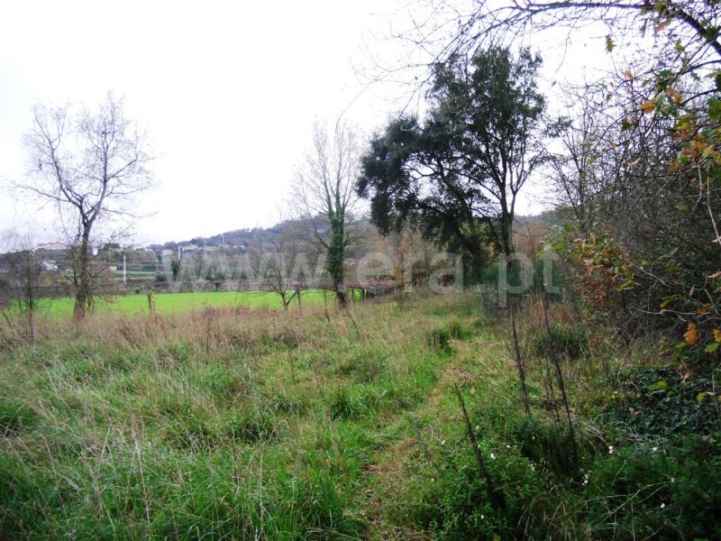 Terreno Rústico  Santo Tirso, Guimarei - 497009 - 8