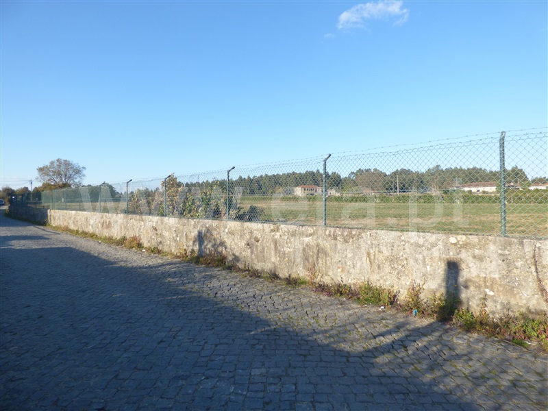 Terreno Rústico  Santo Tirso, Lama - 1224784 - 8