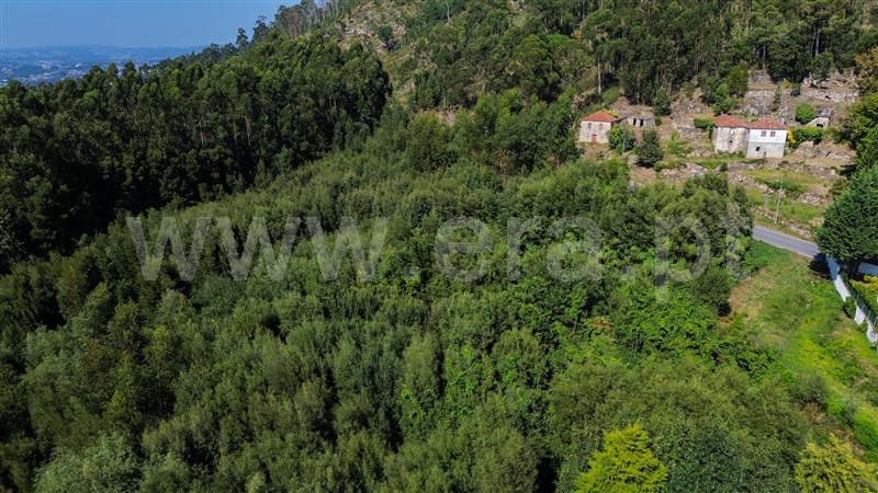 Terreno Rústico  Santo Tirso, Monte Córdova - 1315676 - 4