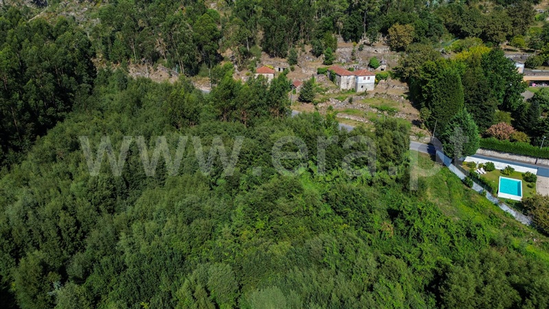 Terreno Rústico  Santo Tirso, Monte Córdova - 1315676 - 7
