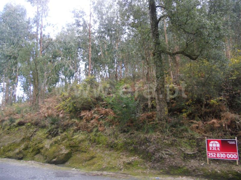 Terreno Rústico  Santo Tirso, São Mamede Negrelos - 505750 - 4