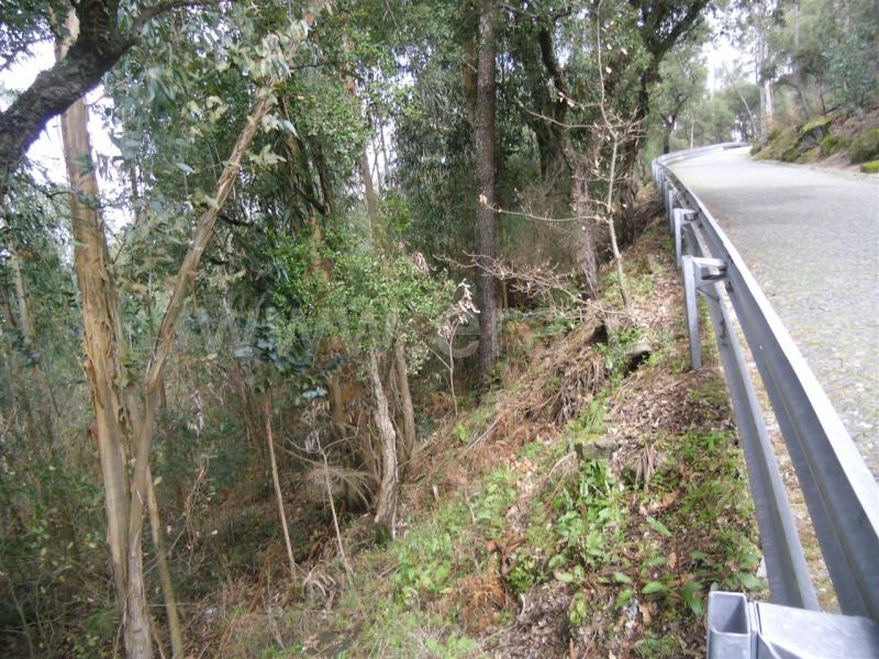 Terreno Rústico  Santo Tirso, São Mamede Negrelos - 505751 - 4