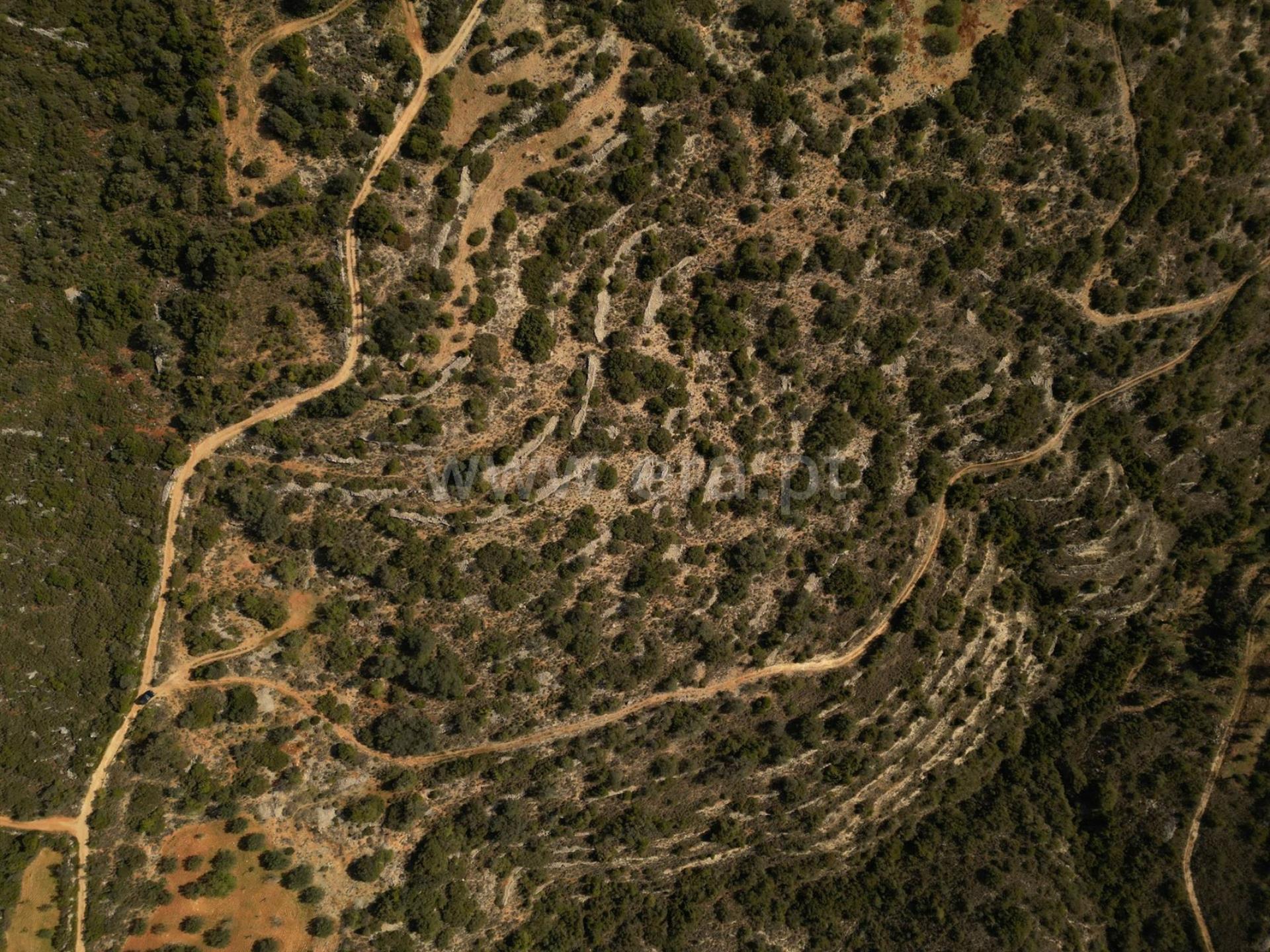 Land for sale in São Brás de Alportel, Portugal — €400,000