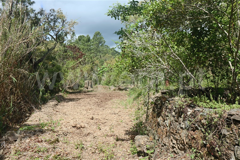 Terreno Rústico / São Brás de Alportel, São Brás de Alportel