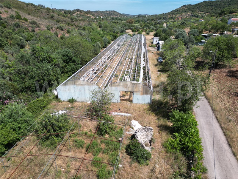 Terreno Rústico  São Brás de Alportel - 1325905 - 3