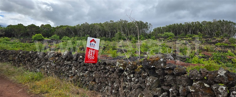 Terreno Rústico / São Roque do Pico, Prainha