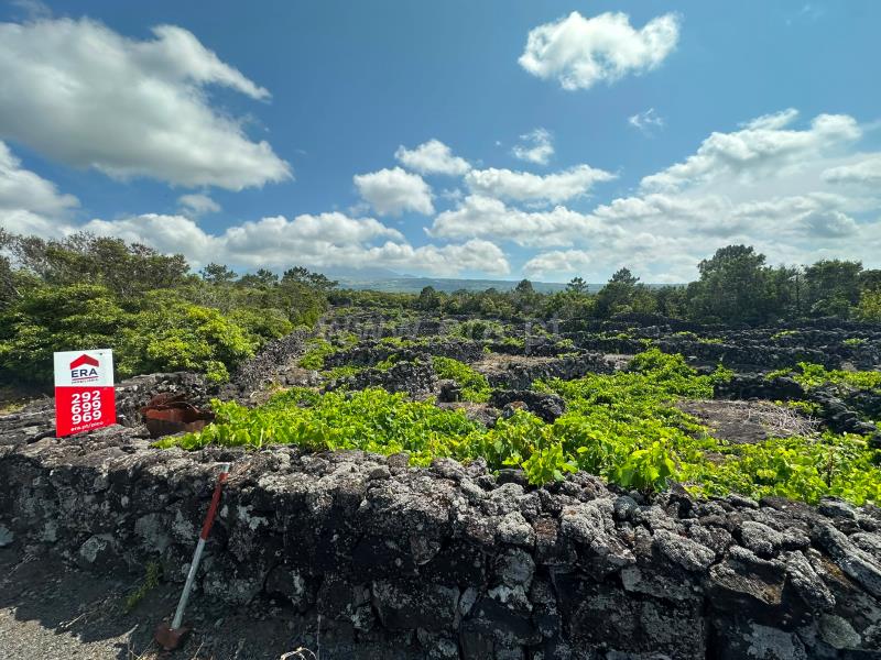 Terreno Rústico / São Roque do Pico, Santa Luzia