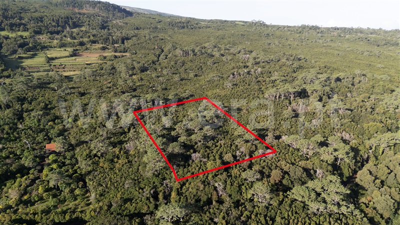 Terreno Rústico / São Roque do Pico, Santo António