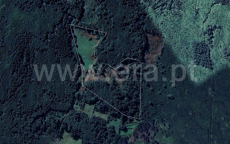 Terreno Rústico / São Roque do Pico, São Roque do Pico