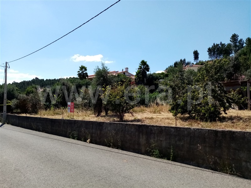 Terreno Rústico  Sardoal, Sardoal - 1181558 - 2
