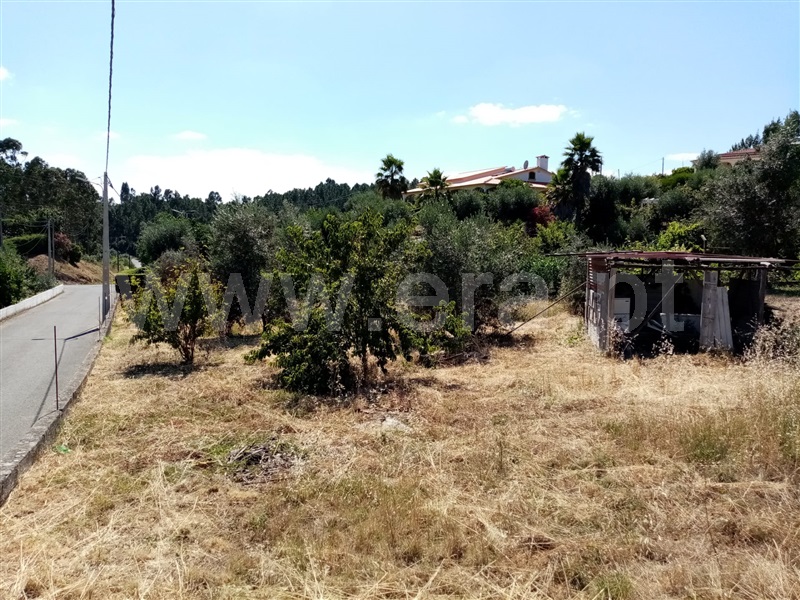 Terreno Rústico  Sardoal, Sardoal - 1181558 - 3