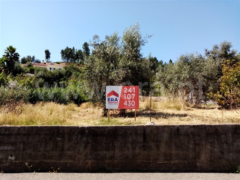Terreno Rústico / Sardoal, Sardoal