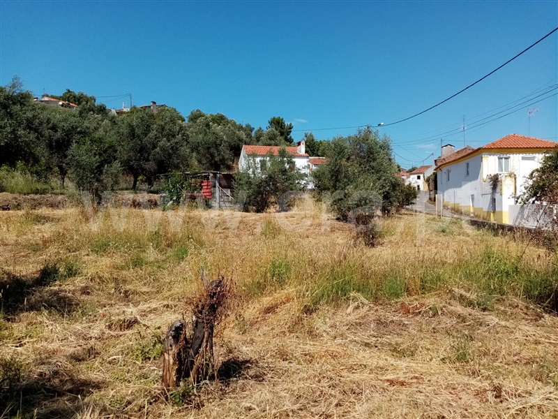 Terreno Rústico  Sardoal, Sardoal - 1181558 - 5