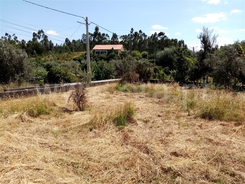 Terreno Rústico  Sardoal, Sardoal - 1181558 - 6