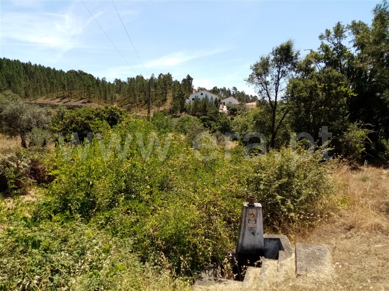 Terreno Rústico  Sardoal, Sardoal - 1181561 - 2
