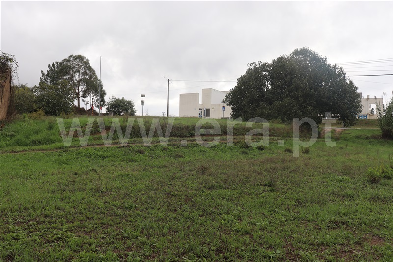 Terreno Rústico  Sardoal, Sardoal - 1357362 - 4