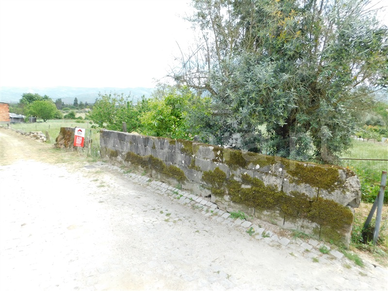 Terreno Rústico  Seia, Pinhanços - 1326452 - 1