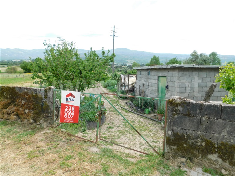 Terreno Rústico  Seia, Pinhanços - 1326452 - 2