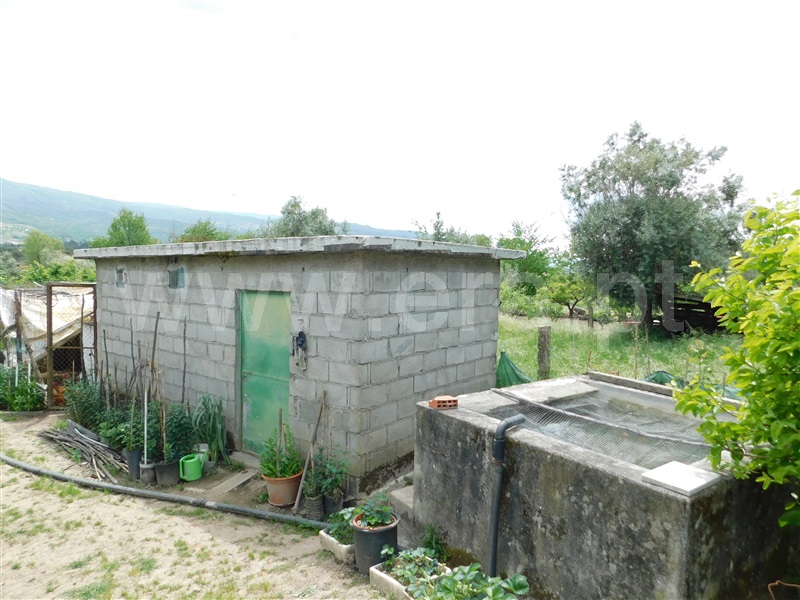 Terreno Rústico  Seia, Pinhanços - 1326452 - 4
