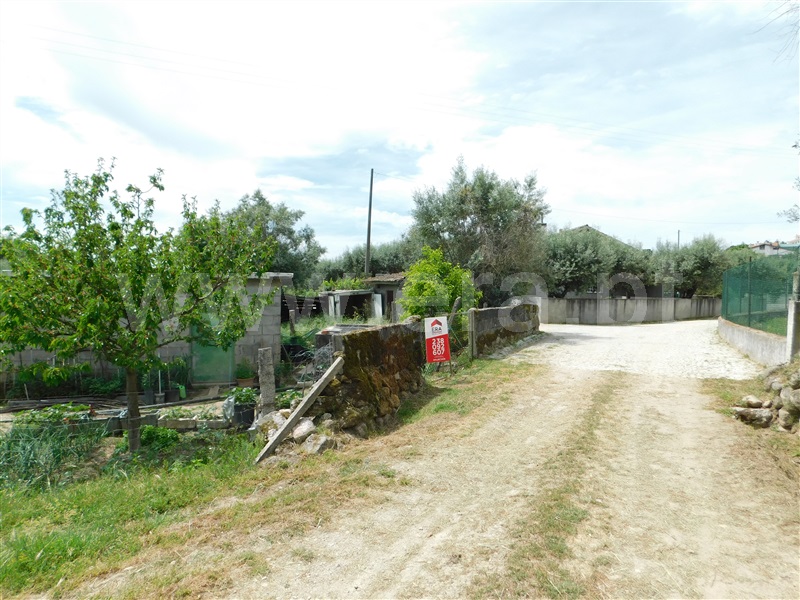 Terreno Rústico  Seia, Pinhanços - 1326452 - 5