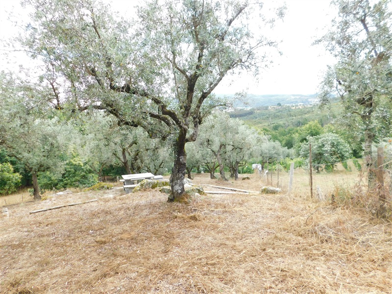 Terreno Rústico  Seia, Santiago - 1259759 - 18