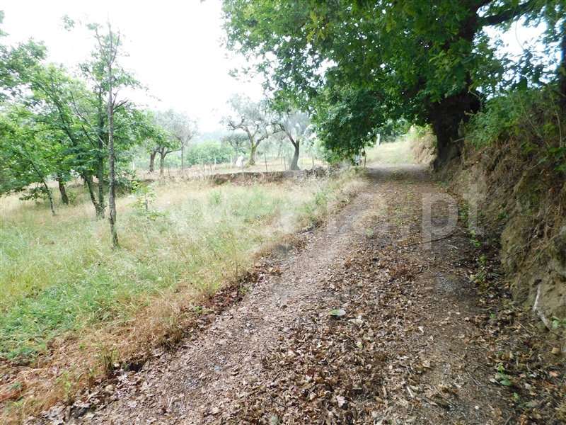 Terreno Rústico  Seia, Santiago - 1259759 - 25