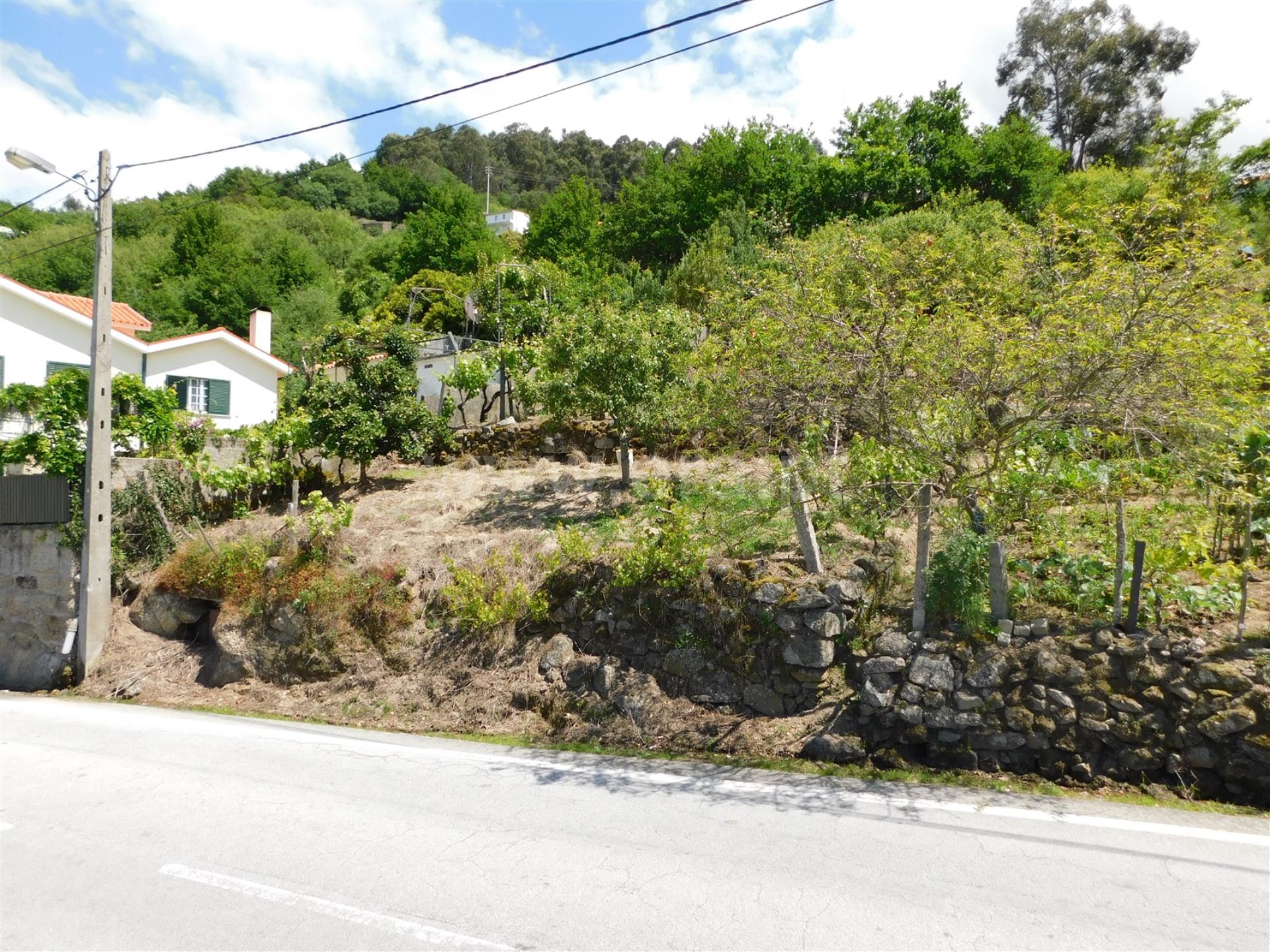 Terreno