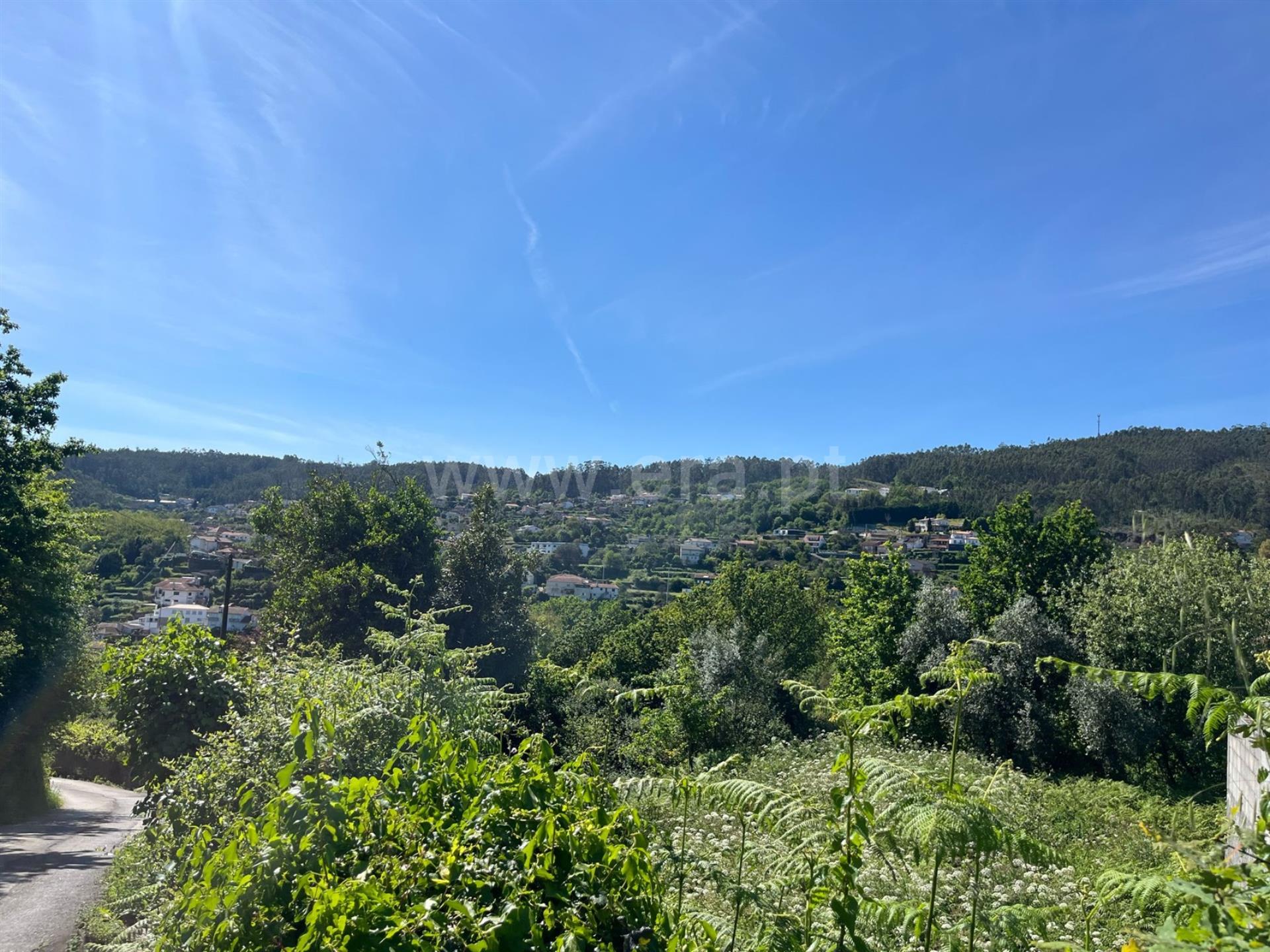 Terreno em Sever do Vouga