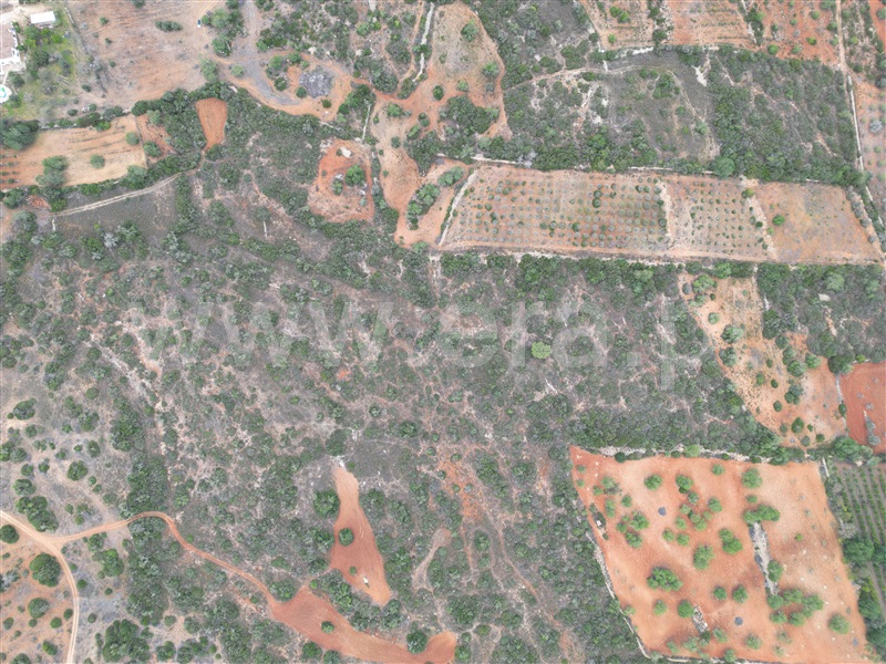 Terreno  Silves, Alcantarilha e Pêra - 1365073 - 2