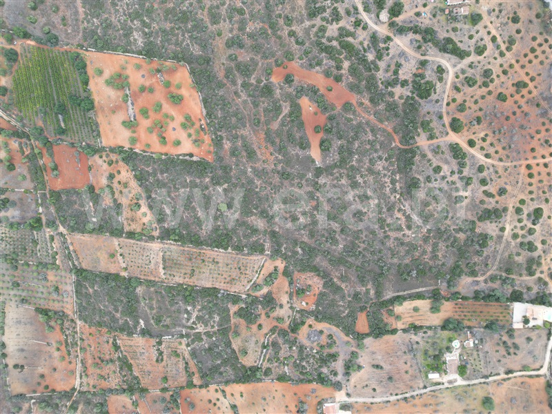 Terreno  Silves, Alcantarilha e Pêra - 1365073 - 4