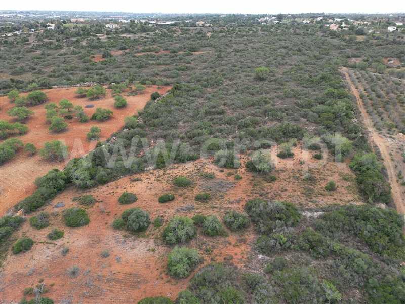Terreno  Silves, Alcantarilha e Pêra - 1365073 - 5