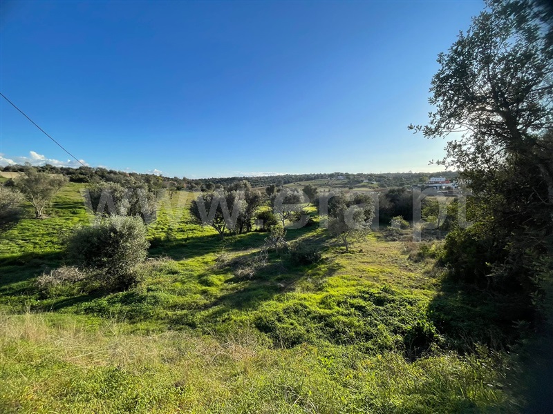 Terreno Rústico / Silves, Alcantarilha e Pêra
