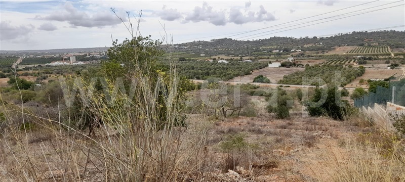 Terreno Rústico  com Agrícola Silves, Algoz - 1349303 - 4
