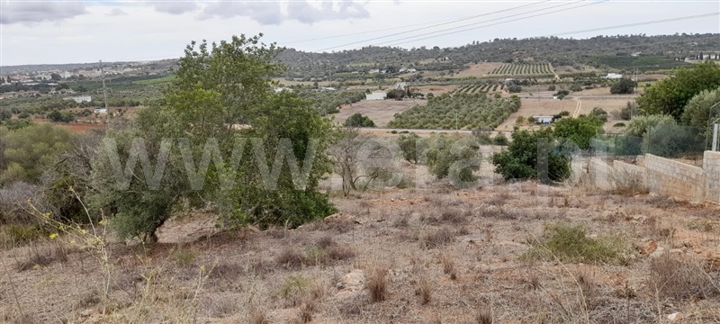 Terreno Rústico  com Agrícola Silves, Algoz - 1349303 - 5