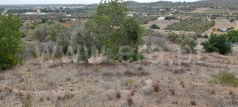 Terreno Rústico  com Agrícola Silves, Algoz - 1349303 - 6